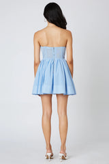 Corset Mesh Mini Dress