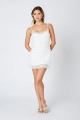 Lace Ruffle Mini Dress