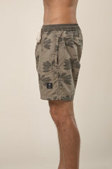 Traveller Palm Short