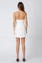 Organza Mini Dress