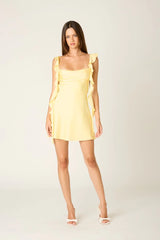 Waterfall Ruffle Mini Dress