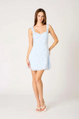 Floral Lace Mini Dress