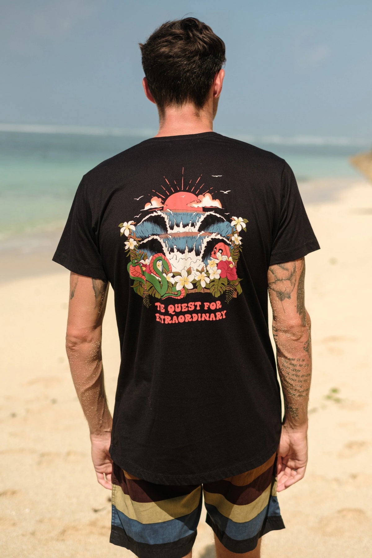 Ts Quest