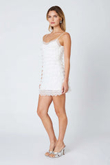 Lace Ruffle Mini Dress