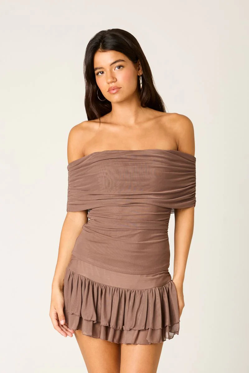 Off Shoulder Mesh Top