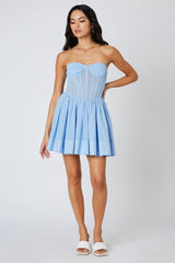 Corset Mesh Mini Dress