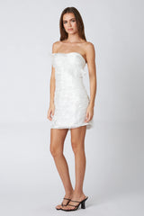 Organza Mini Dress